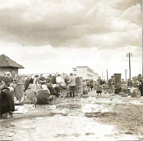 Sajmište u Heinzlovoj 1944. godine. U pozadini novo izgrađen kompleks Veterinarskog fakulteta
